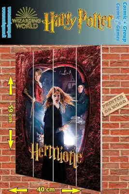 Figurine Harry Potter hermione wood print